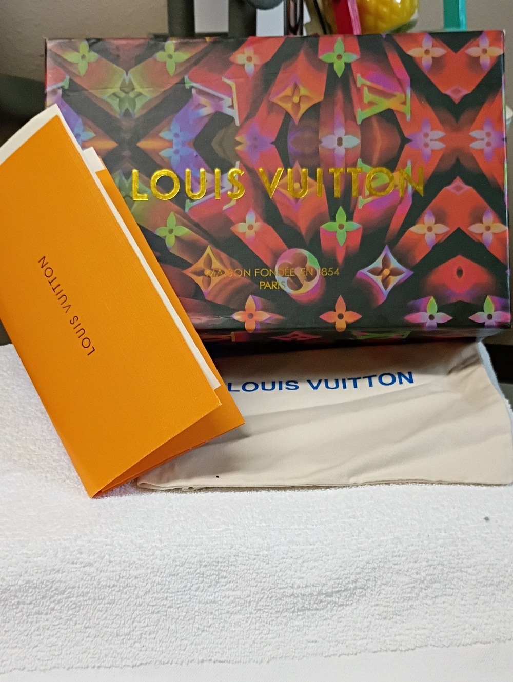 Louis Vuitton Multicolor Monogram Shoe Box